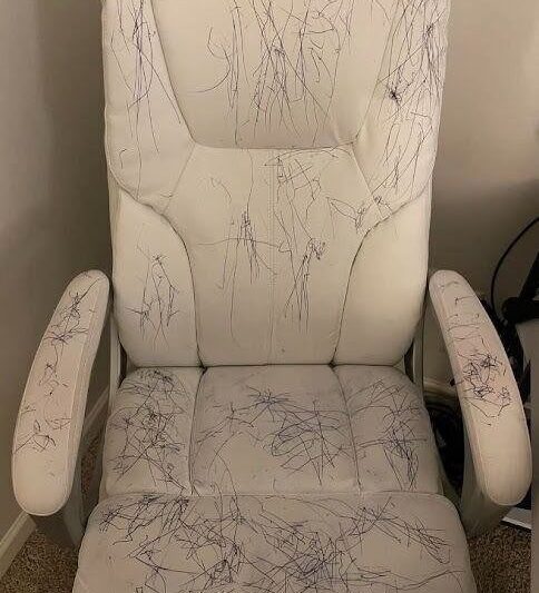 Easy Ways to Remove Pen Stains from Your Office Furniture