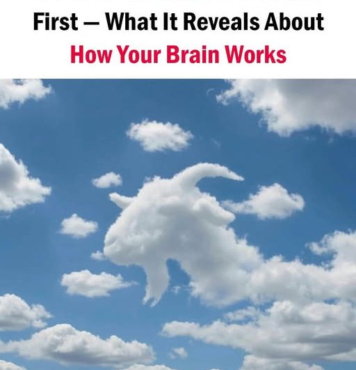 If You See a Turtle or a Camel First — What It Reveals About How Your Brain Works