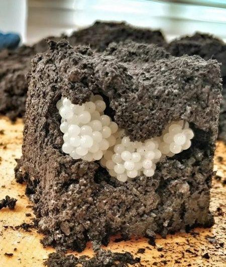 I Found Strange White Balls in My Yard