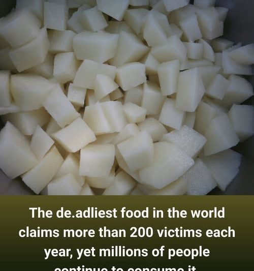 How Eating This Food Affects Elderly Health